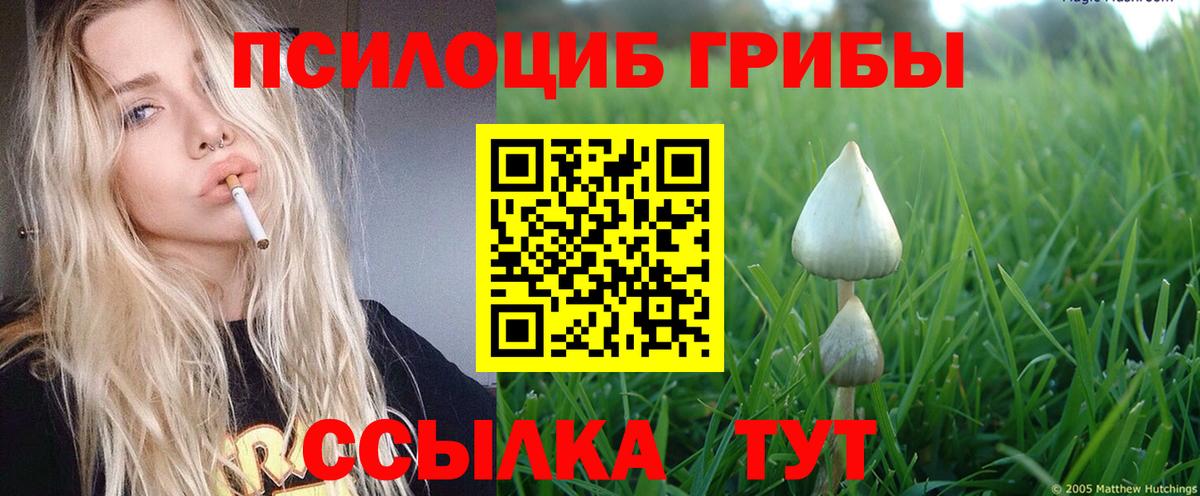 Псилоцибиновые грибы мухоморы  Вход с VPN  Владимир 
